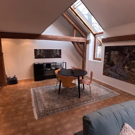 Stylish Sky-loft *