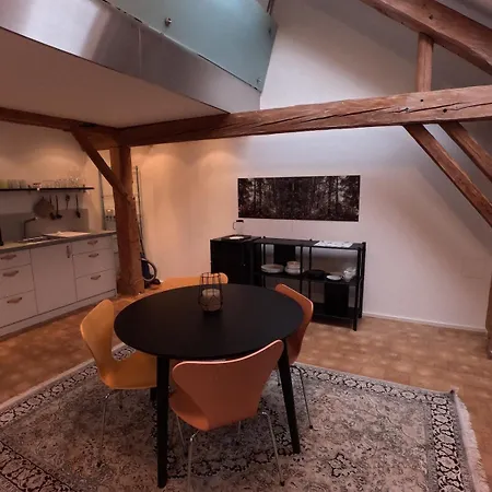 Stylish Sky-loft *